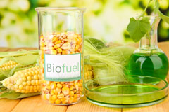 Llanrhaeadr biofuel availability